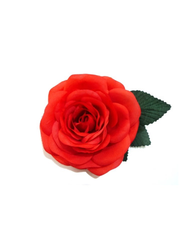 Flamenco dance outfit