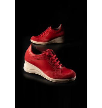 zapatos baile, entrenamiento, salud, bienestar, deportivas 2